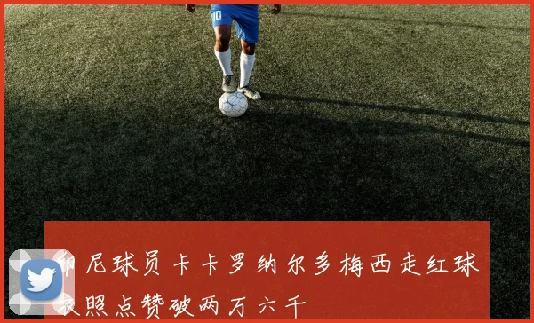 印尼球员卡卡罗纳尔多梅西走红球衣照点赞破两万六千
